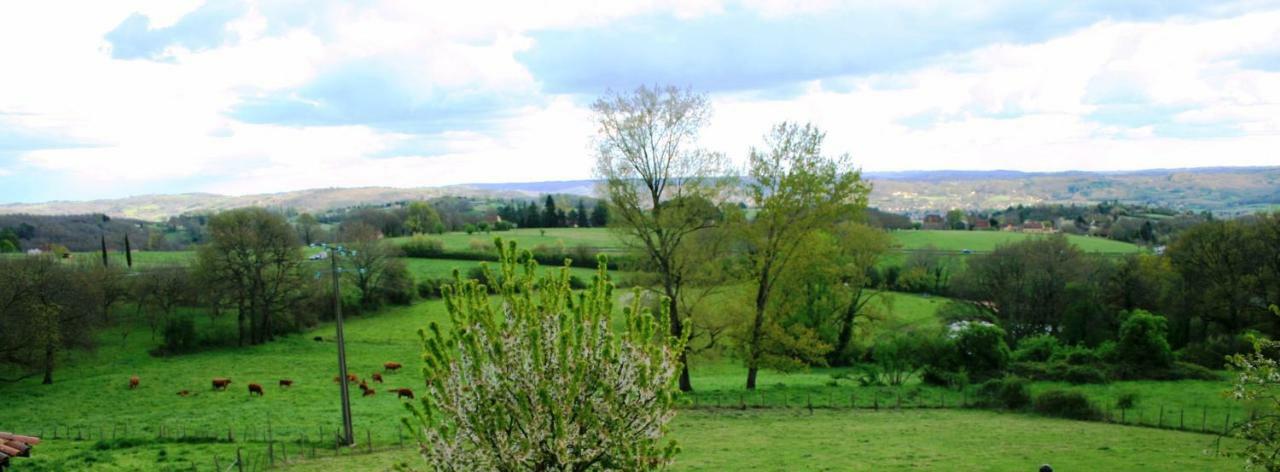 Ferme De Lagrave Gasthuis 3*